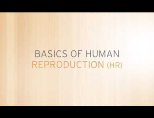 Basics of Human Reproduction
