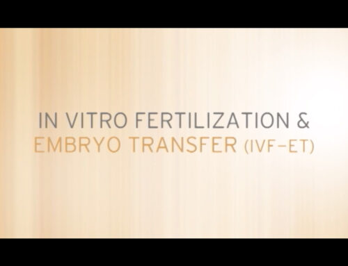 IVF-ET