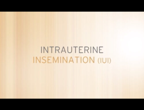 Intrauterine Insemenation IUI