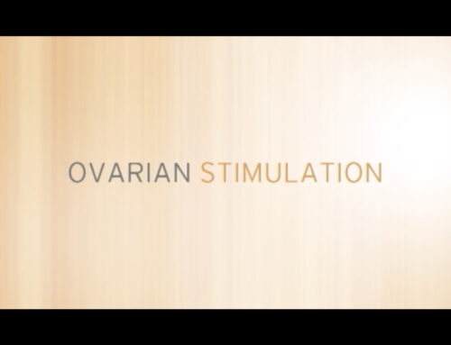 Ovarian Stimulation